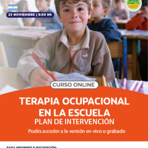 Terapia ocupacional  en la escuela -Plan de intervención