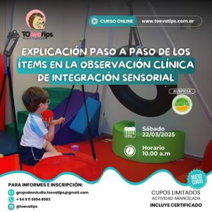 Ítems de Observación Clínica en Integración Sensorial