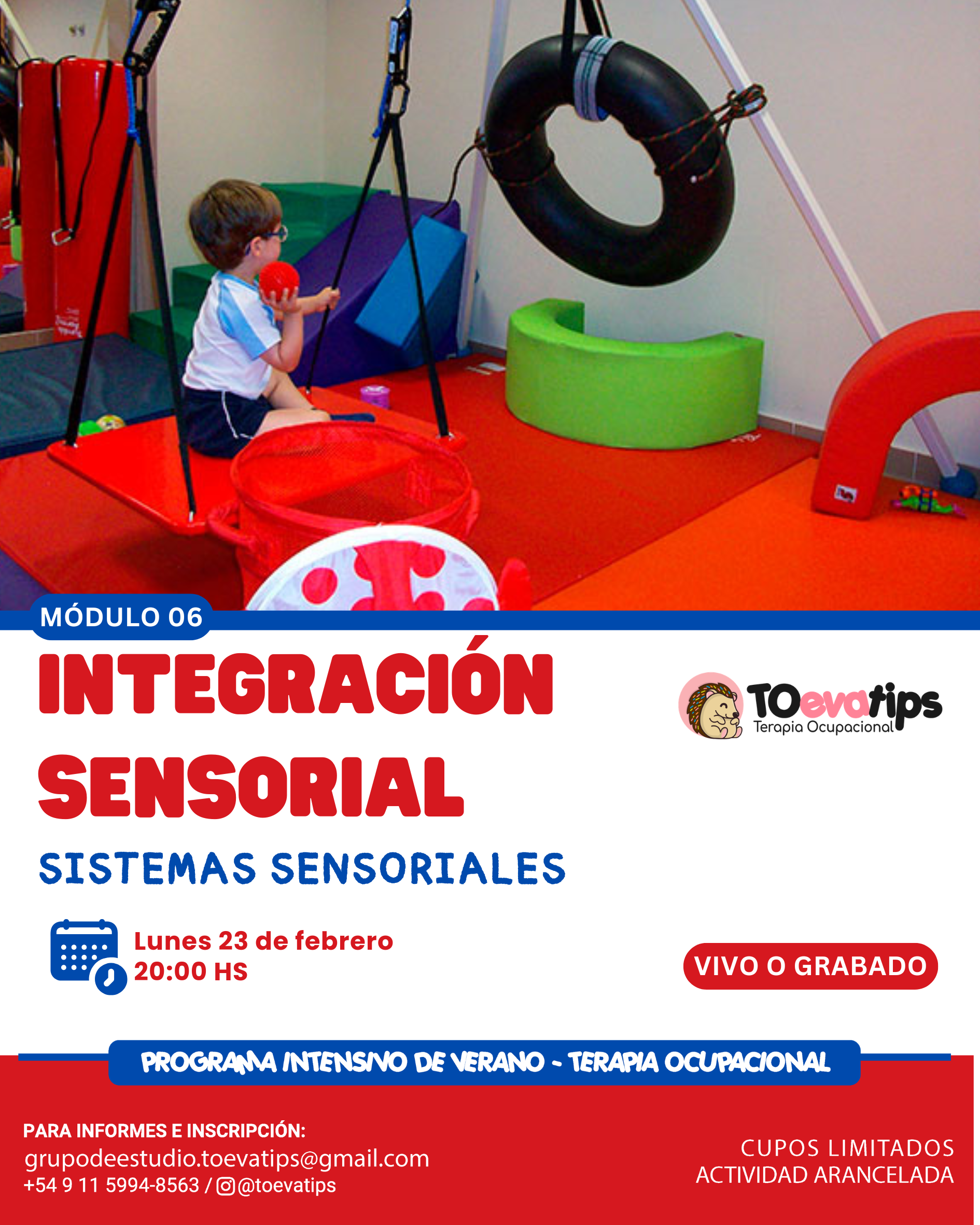 PROGRAMA INTENSIVO DE VERANO - MODULO 6: Integración sensorial - Sistemas sensoriales